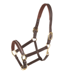 Kantar-skorzany-WALDHAUSEN-X-Line-Crystal-brown/malve/toffee-01