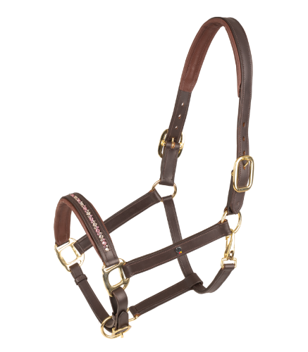 Kantar-skorzany-WALDHAUSEN-X-Line-Crystal-brown/malve/toffee-01