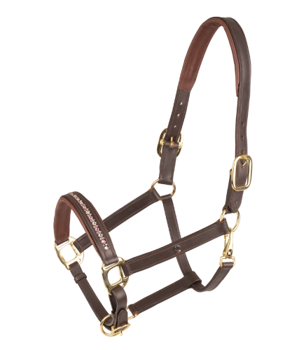 Kantar-skorzany-WALDHAUSEN-X-Line-Crystal-brown/malve/toffee-01