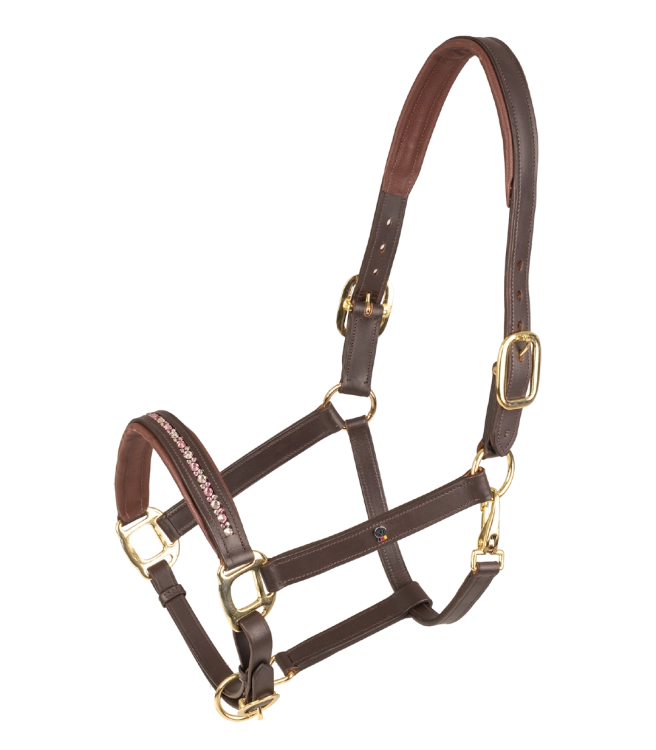Kantar-skorzany-WALDHAUSEN-X-Line-Crystal-brown/malve/toffee-01