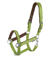 Kantar-WALDHAUSEN-Athletic-lime-green-01