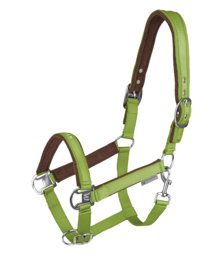 Kantar-WALDHAUSEN-Athletic-lime-green-01
