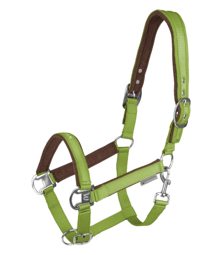 Kantar-WALDHAUSEN-Athletic-lime-green-01