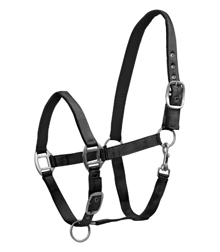 Kantar-WALDHAUSEN-Satin-black-01