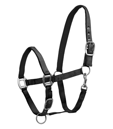 Kantar-WALDHAUSEN-Satin-black-01