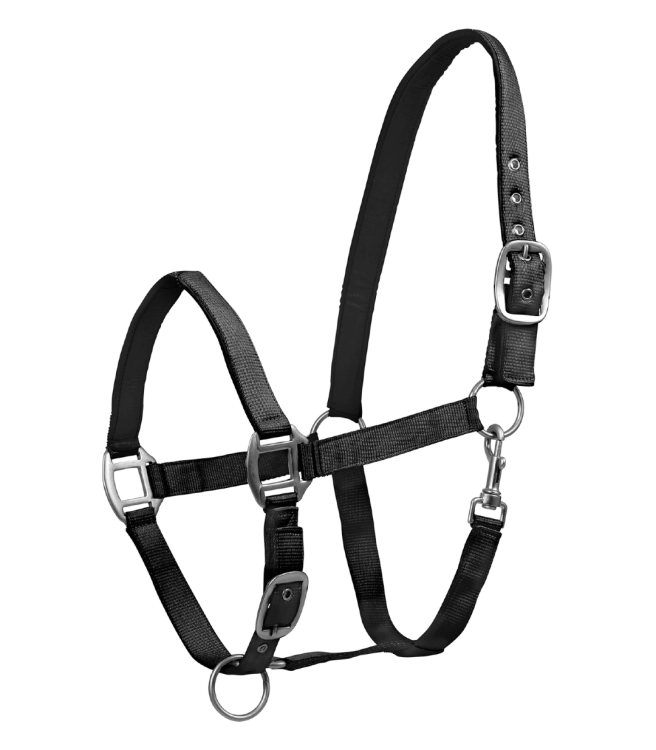 Kantar-WALDHAUSEN-Satin-black-01