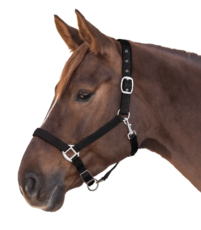 Kantar-WALDHAUSEN-Satin-black-03