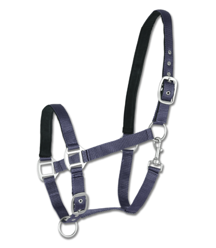 Kantar-WALDHAUSEN-Satin-blue-01