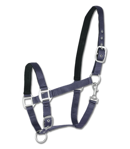 Kantar-WALDHAUSEN-Satin-blue-01