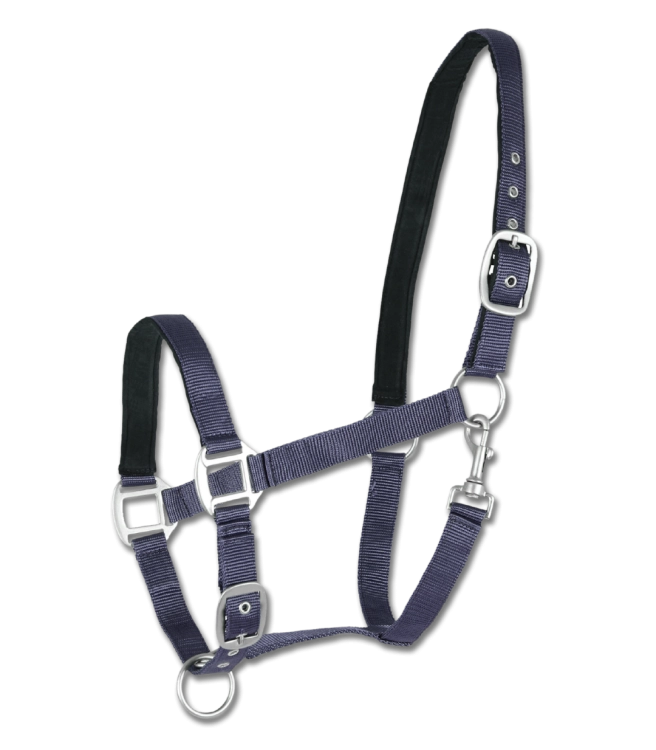 Kantar-WALDHAUSEN-Satin-blue-01