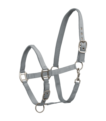 Kantar-WALDHAUSEN-Satin-chrome-grey-01