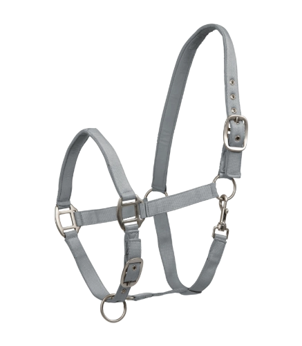 Kantar-WALDHAUSEN-Satin-chrome-grey-01