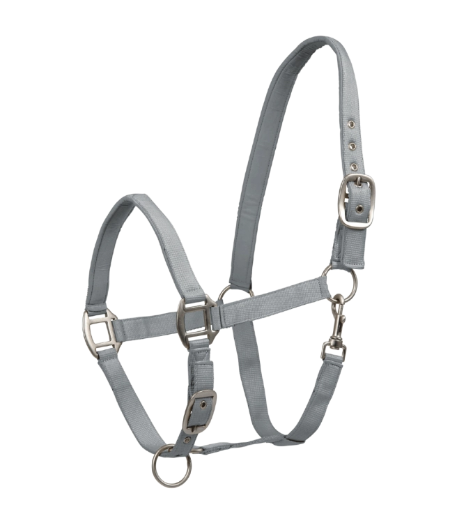 Kantar-WALDHAUSEN-Satin-chrome-grey-01