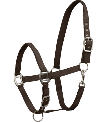Kantar-WALDHAUSEN-Satin-espresso-01
