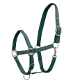 Kantar-WALDHAUSEN-Satin-fir-green-01