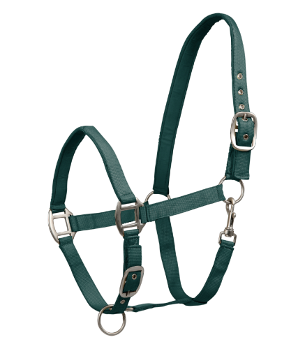 Kantar-WALDHAUSEN-Satin-fir-green-01