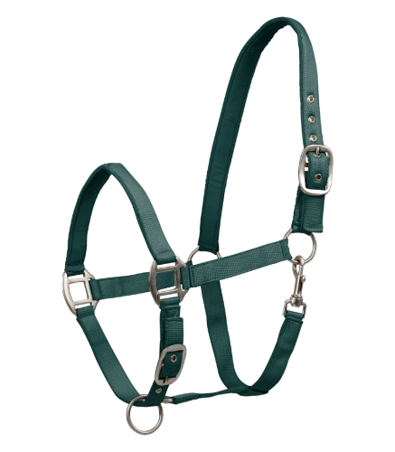 Kantar-WALDHAUSEN-Satin-fir-green-01