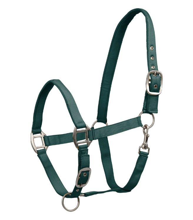 Kantar-WALDHAUSEN-Satin-fir-green-01