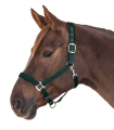 Kantar-WALDHAUSEN-Satin-fir-green-03
