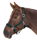Kantar-WALDHAUSEN-Satin-fir-green-03