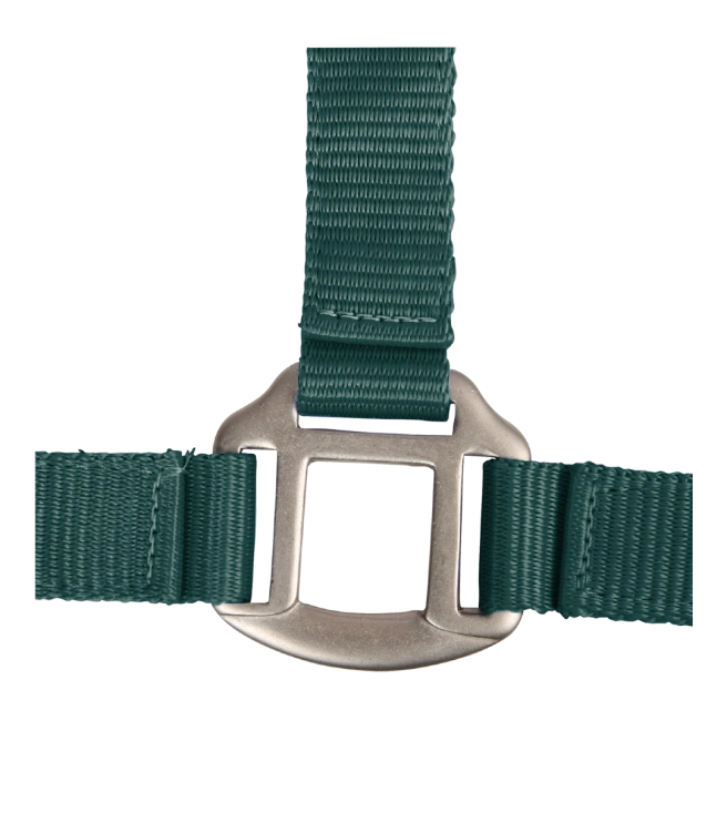 Kantar-WALDHAUSEN-Satin-fir-green-04