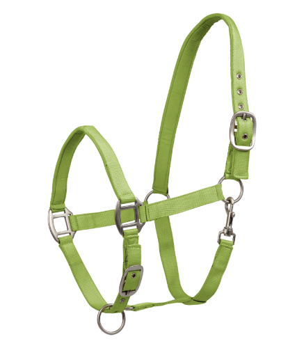 Kantar-WALDHAUSEN-Satin-lime-green-01