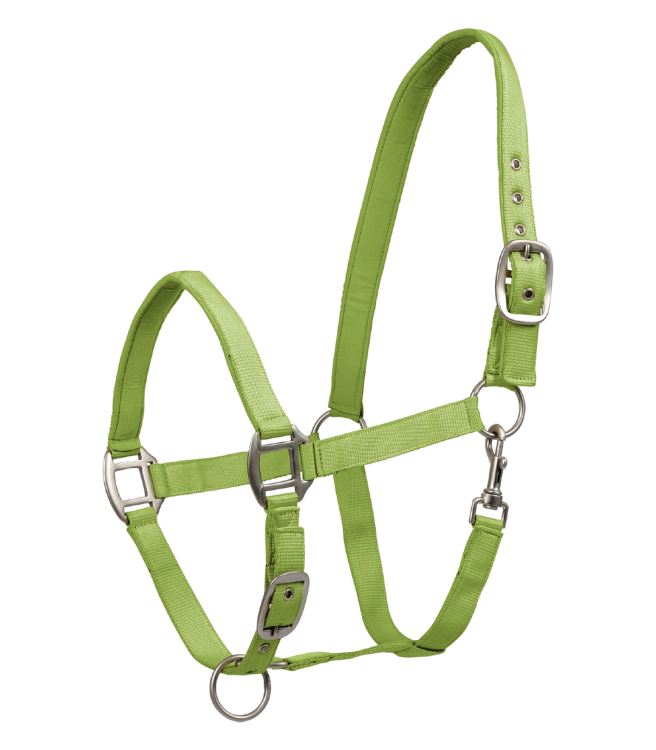 Kantar-WALDHAUSEN-Satin-lime-green-01