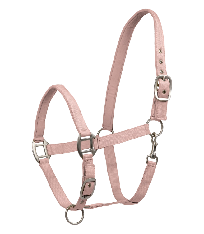 Kantar-WALDHAUSEN-Satin-mauve-01