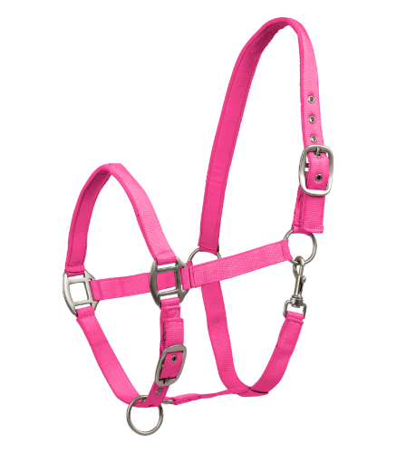 Kantar-WALDHAUSEN-Satin-pink-01