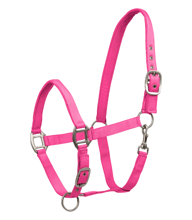 Kantar-WALDHAUSEN-Satin-pink-01