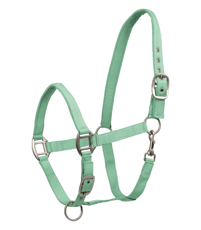Kantar-WALDHAUSEN-Satin-pistachio-01