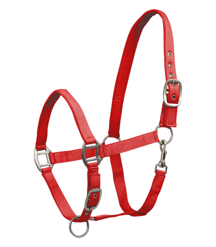 Kantar-WALDHAUSEN-Satin-red-01
