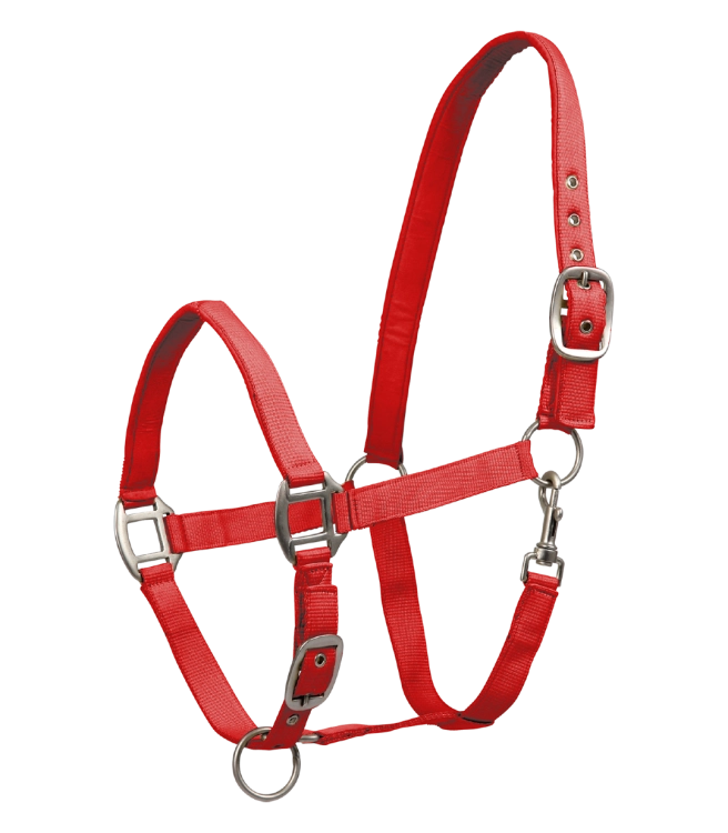 Kantar-WALDHAUSEN-Satin-red-01