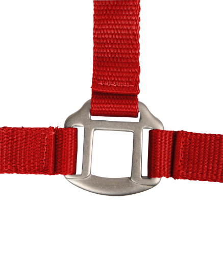 Kantar-WALDHAUSEN-Satin-red-02