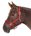 Kantar-WALDHAUSEN-Satin-red-03