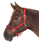 Kantar-WALDHAUSEN-Satin-red-03