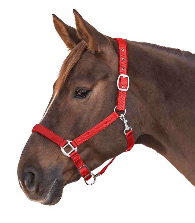 Kantar-WALDHAUSEN-Satin-red-03