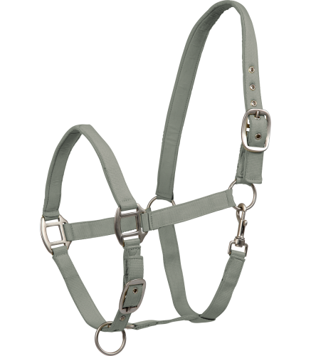 Kantar-WALDHAUSEN-Satin-sage-01