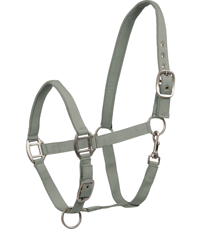 Kantar-WALDHAUSEN-Satin-sage-01