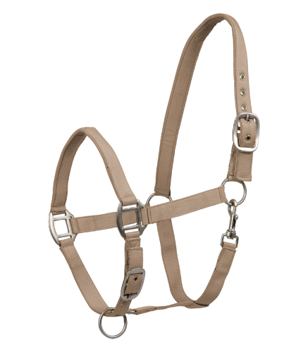 Kantar-WALDHAUSEN-Satin-toffee-01