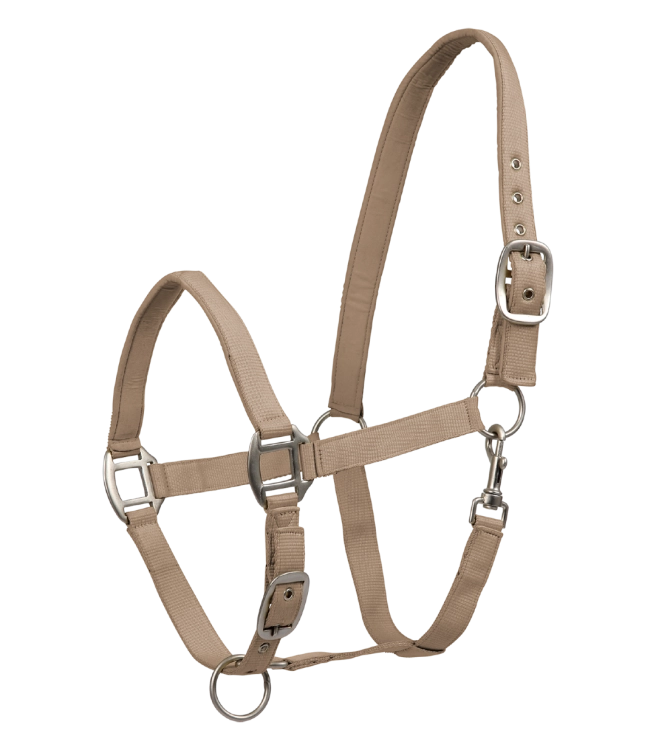 Kantar-WALDHAUSEN-Satin-toffee-01