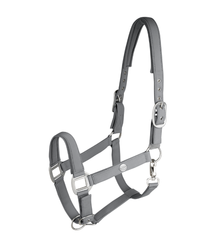 Kantar-WALDHAUSEN-Trinidad-chrome-grey-01