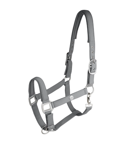 Kantar-WALDHAUSEN-Trinidad-chrome-grey-01