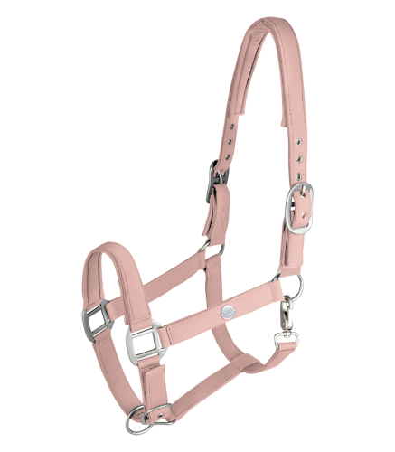 Kantar-WALDHAUSEN-Trinidad-chrome-mauve-01