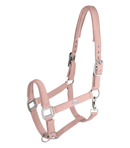 Kantar-WALDHAUSEN-Trinidad-chrome-mauve-01