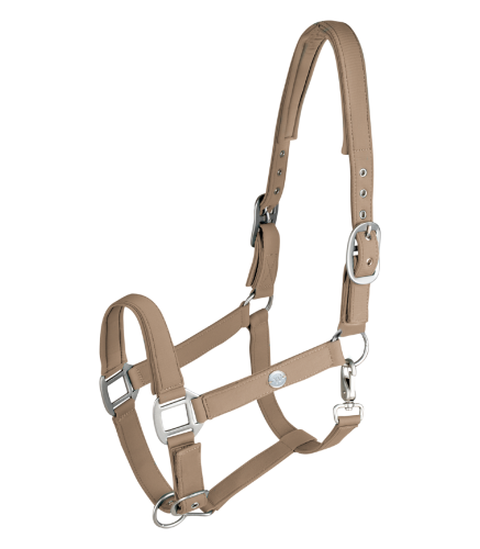 Kantar-WALDHAUSEN-Trinidad-chrome-toffee-01