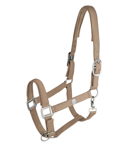 Kantar-WALDHAUSEN-Trinidad-chrome-toffee-01