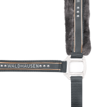 Kantar-WALDHAUSEN-Elegant-asphalt-02