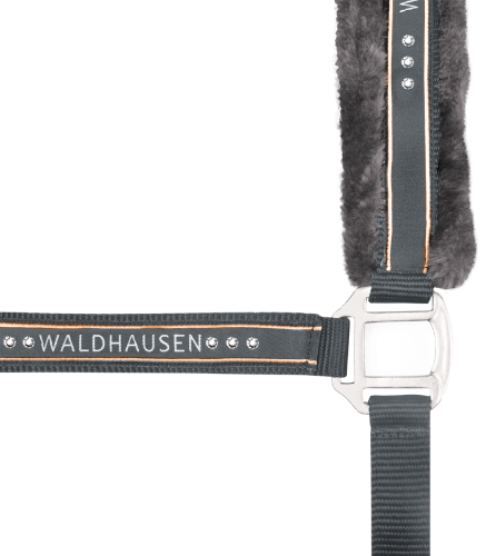 Kantar-WALDHAUSEN-Elegant-asphalt-02