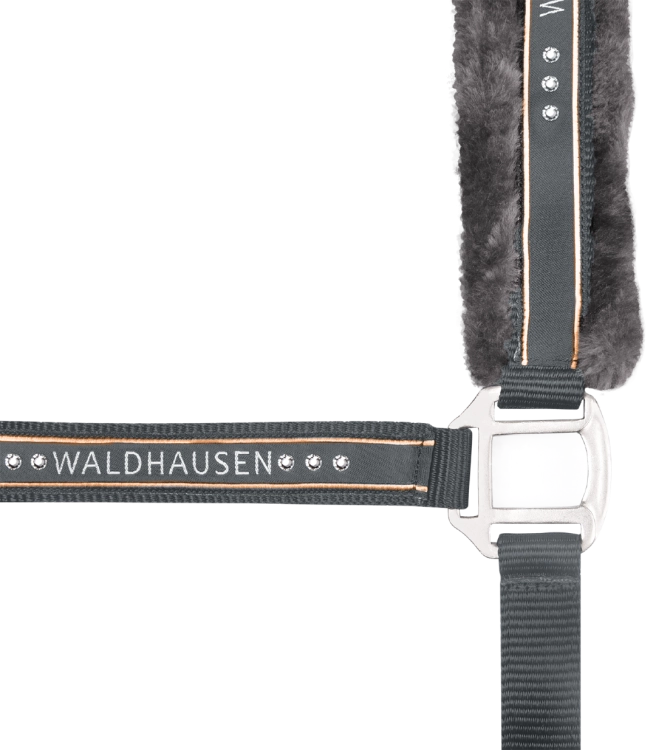 Kantar-WALDHAUSEN-Elegant-asphalt-02